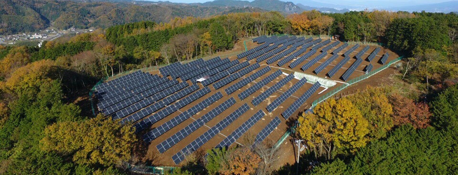 Paineis Solares - O que é necessário para investir em uma franquia de energia solar?