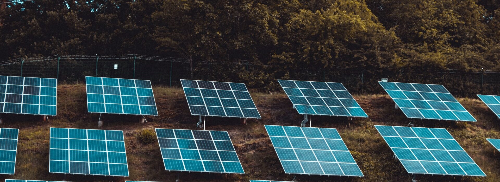 paineis solares - O que é Energia Fotovoltaica e como isso vai fazer a sua empresa lucrar mais