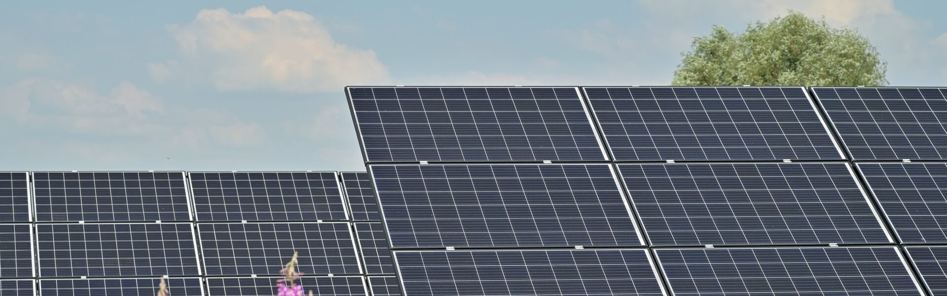 placas solares - Principais dúvidas sobre franquia de energia solar e suas respostas