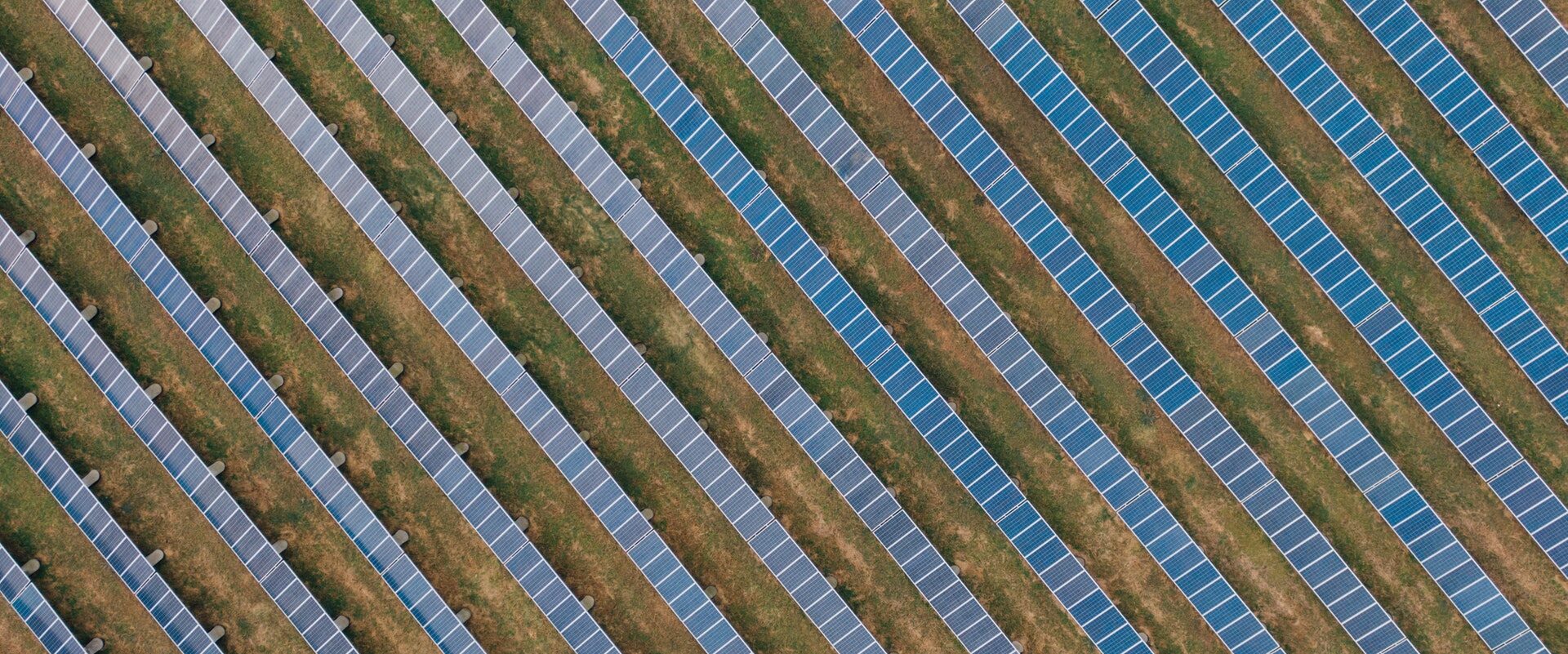 Fazenda Solar: O que é e quais os benefícios para minha residência ou empresa