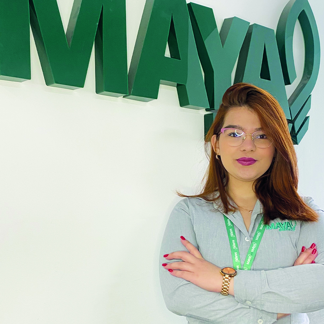 Maya Energy Refer ncia Em Efici ncia Energ tica Maya energy refer ncia em efici ncia energ tica