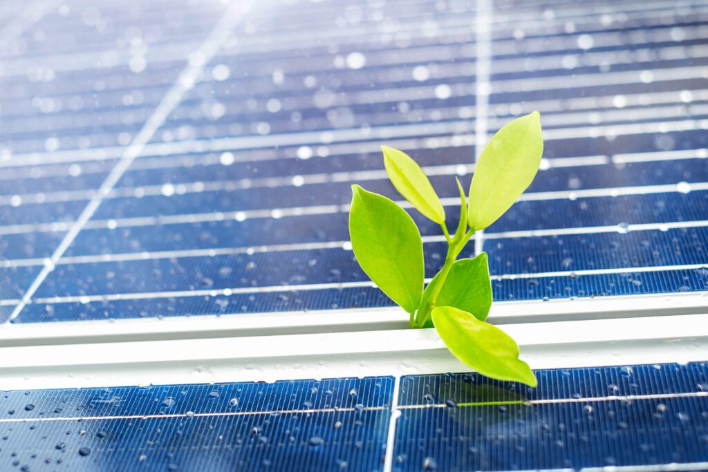 Usina Solar e Hidrogênio Verde